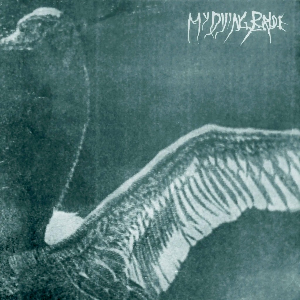 Turn Loose the&nbsp;Swans